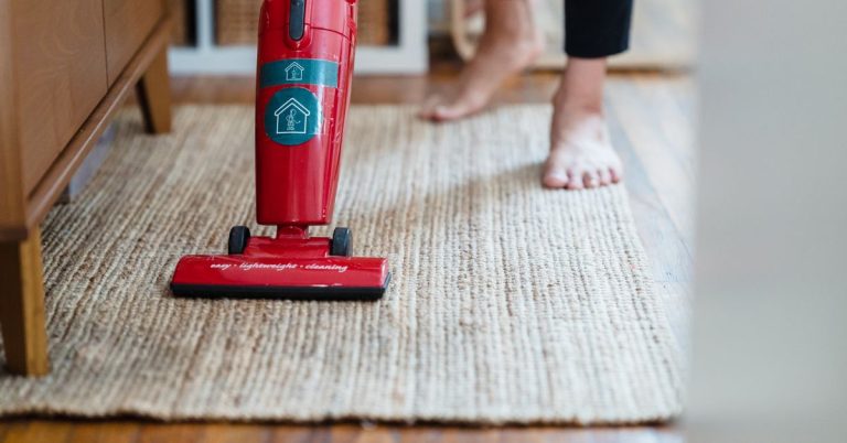 The Ultimate Guide to Choosing the Best Vacuum Cleaner for Pet Hair